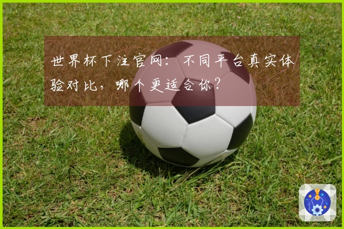 世界杯下注官网：不同平台真实体验对比，哪个更适合你？