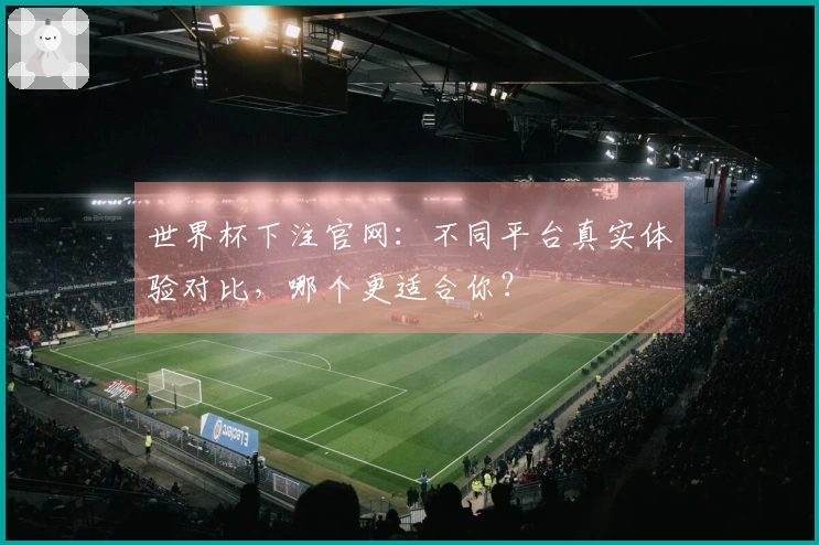 世界杯下注官网：不同平台真实体验对比，哪个更适合你？